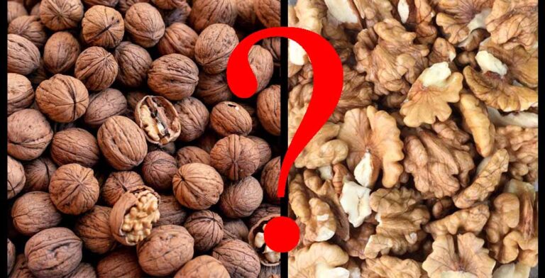تفاوت گردوی ایرانی و خارجی از نظر ظاهر و مغز