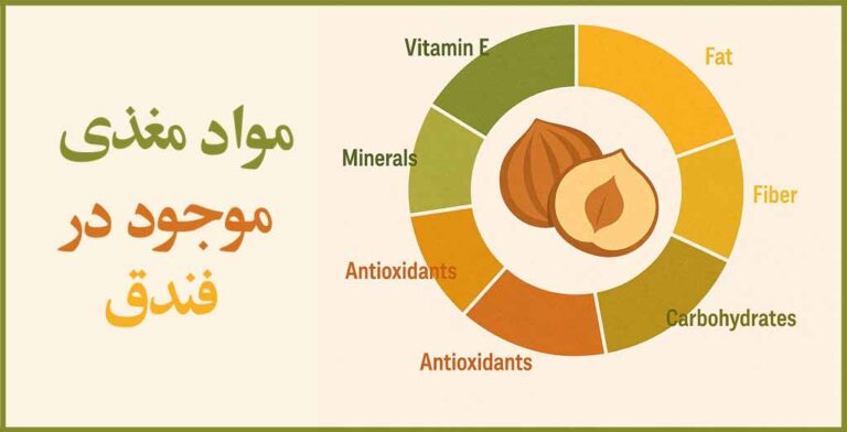 نمودار دایره ای مواد مغذی موجود در فندق