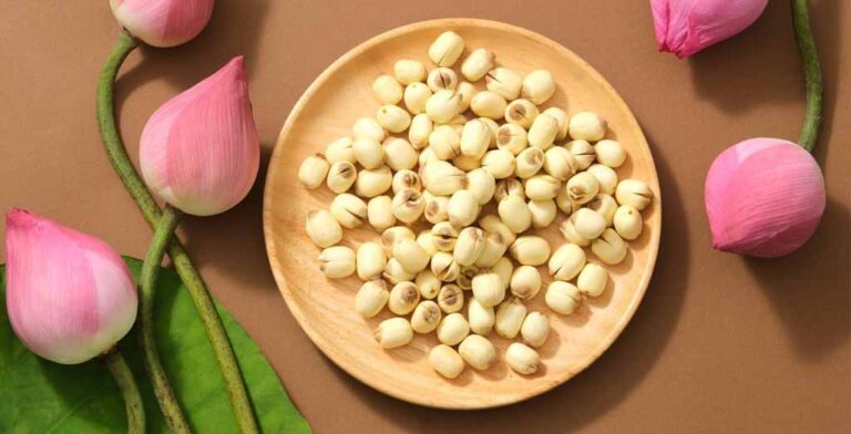 دانه لوتوس از مغزیجات محبوب چین
