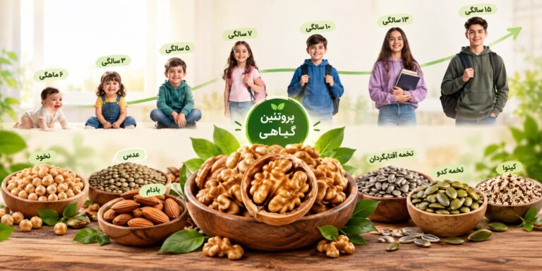 تصویری از کودک در حال رشد و نقش گردو و پروتئین گیاهی